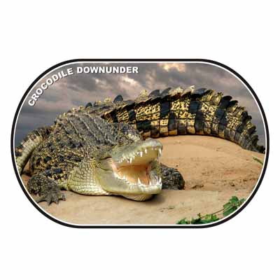 Crocodile Downunder Placemat